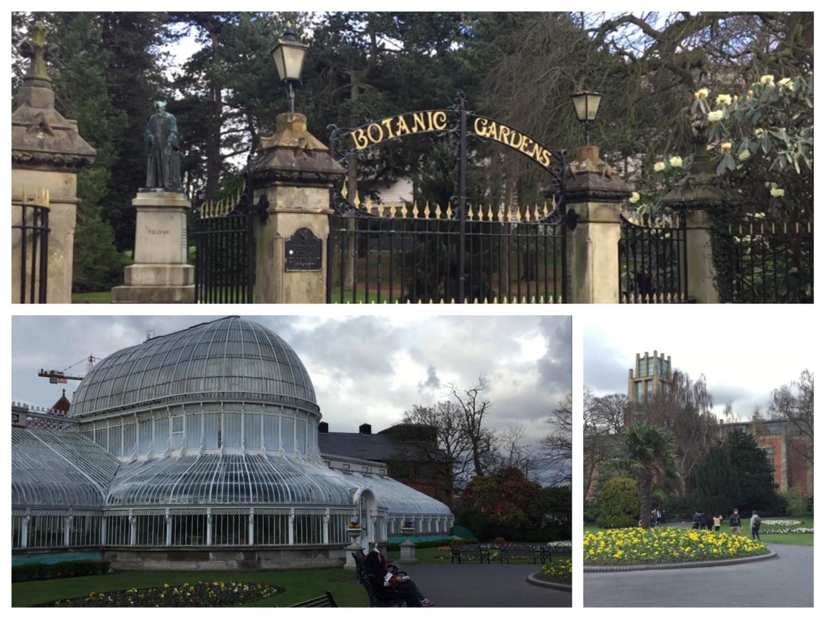 Botanic Gardens Belfast - Pikalily Food Travel Blog