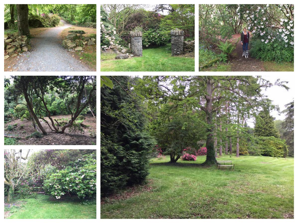 Rowallane Gardens woodland Areas - Pikalily Travel Blog