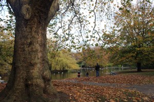 St Stephens Green Dublin Autumn - Pikalily Food Travel Blog